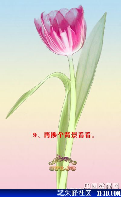 PhotoshopƤ߿ٓD